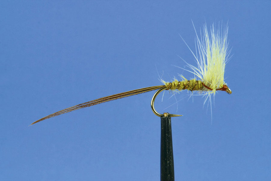 DRY MAY-MOSELY MAY (B)