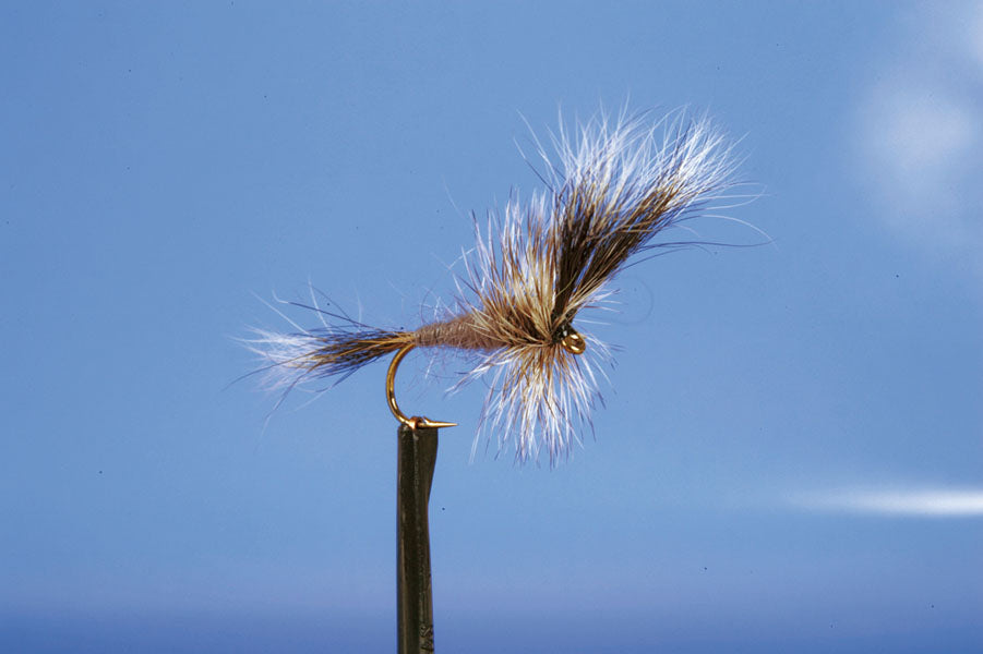 DRY MAY-WULFF GREY (B)