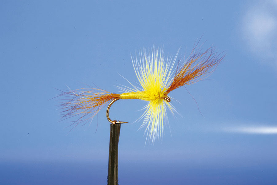 DRY MAY-WULFF YELLOW (B)
