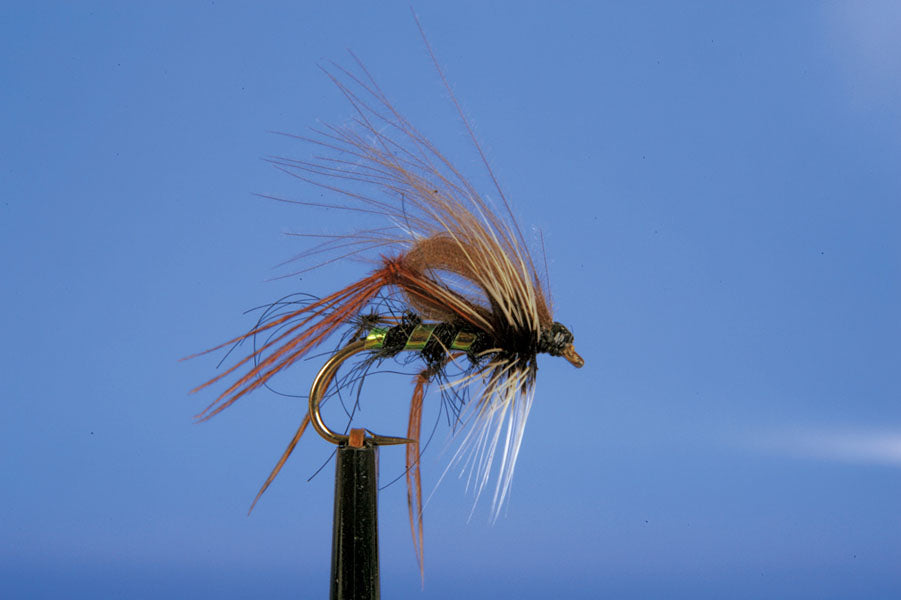 HOPPER-CDC HOPPER BLACK