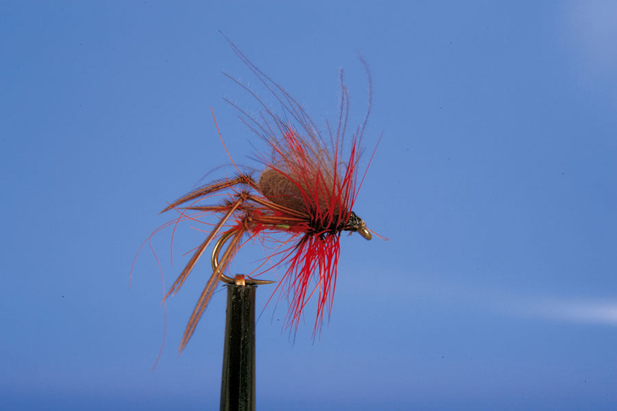 HOPPER-CDC HOPPER CLARET