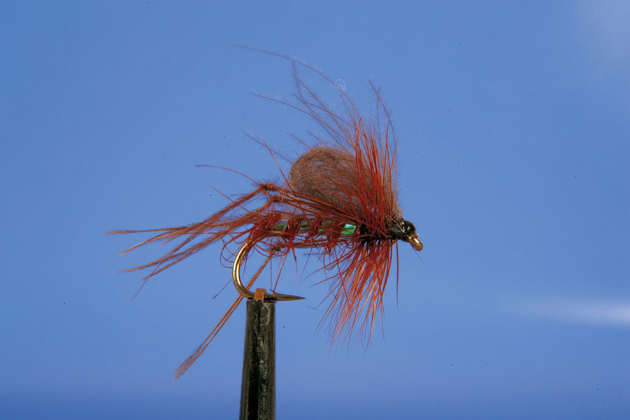 HOPPER-CDC HOPPER F BROWN
