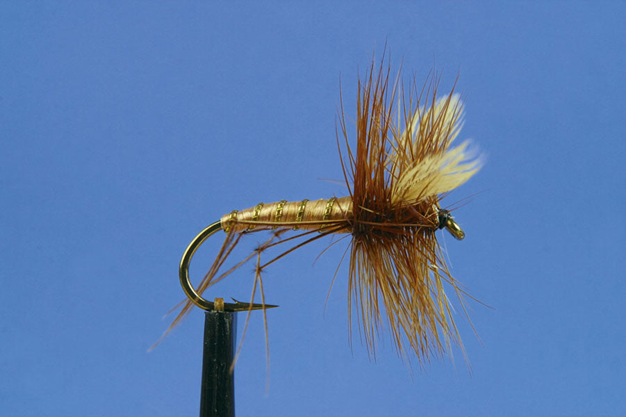 HOPPER DADDY CRANEFLY