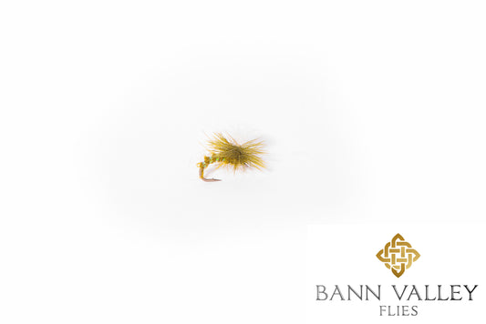 Olive Klinkhammer 16