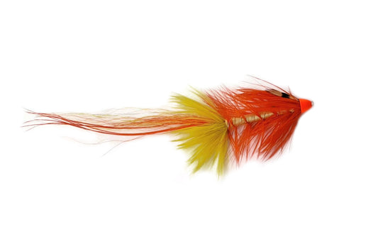 Florescent Pot Belly Pig Cone Head - Orange and Yellow