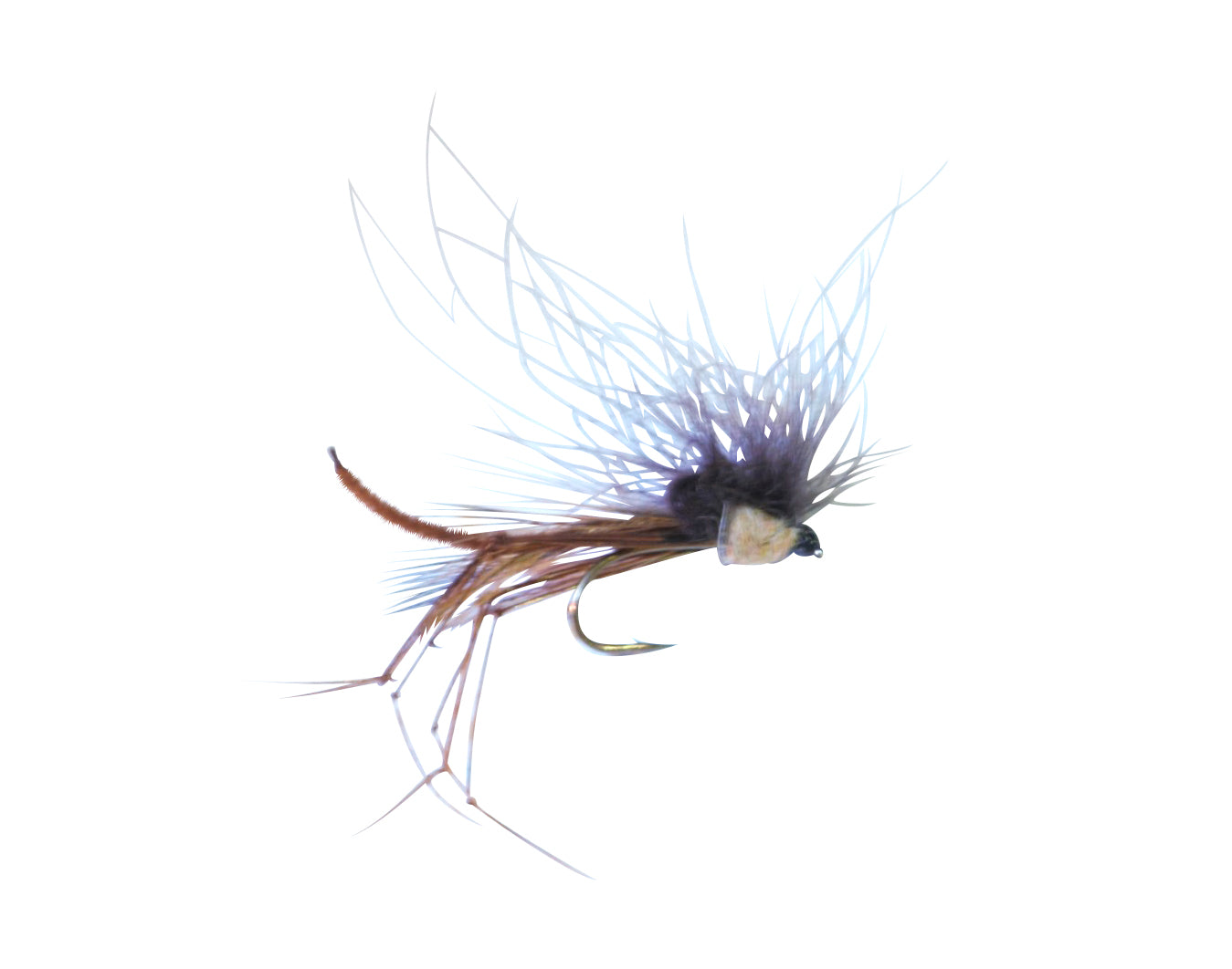 HOPPER DADDY CDC