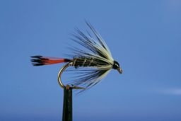 DUCKFLY PENNELL
