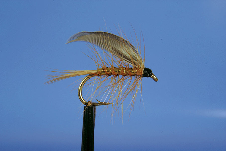 WET-WICKHAMS FANCY ORIGINAL