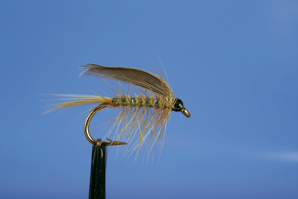 WET-WICKHAMS FANCY PEARLY