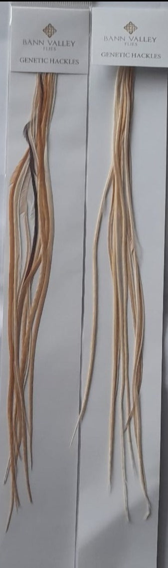 Metz Saddle Hackle Selected Size Ginger