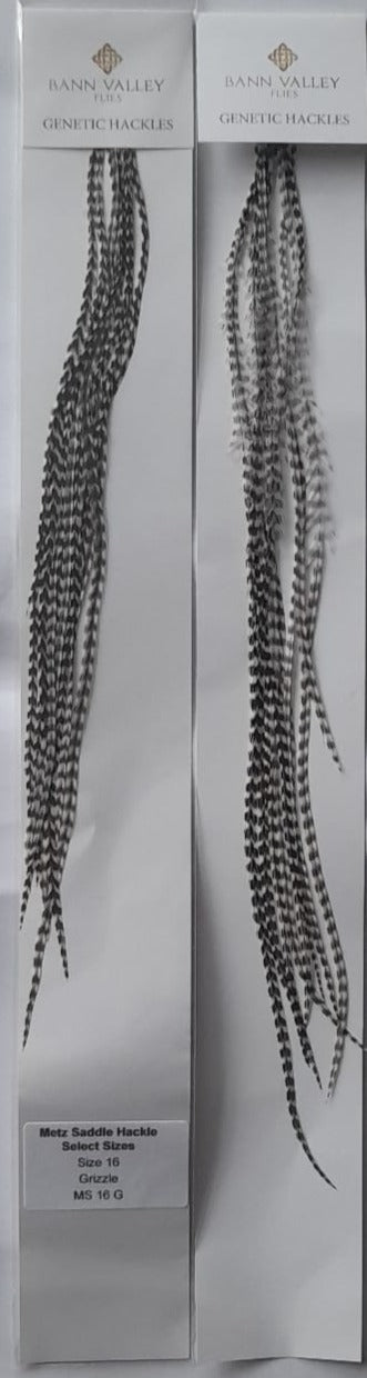 Metz Saddle Hackle Selected Size Grizzle