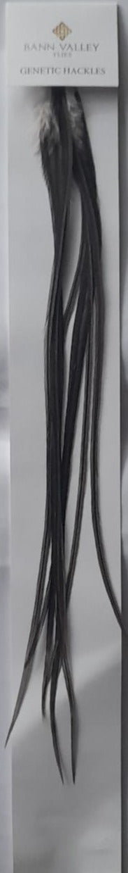 Metz Saddle Hackle Selected Size Dark Dun