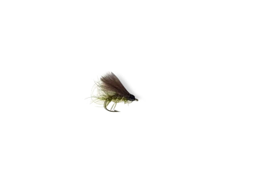 F Fly Olive