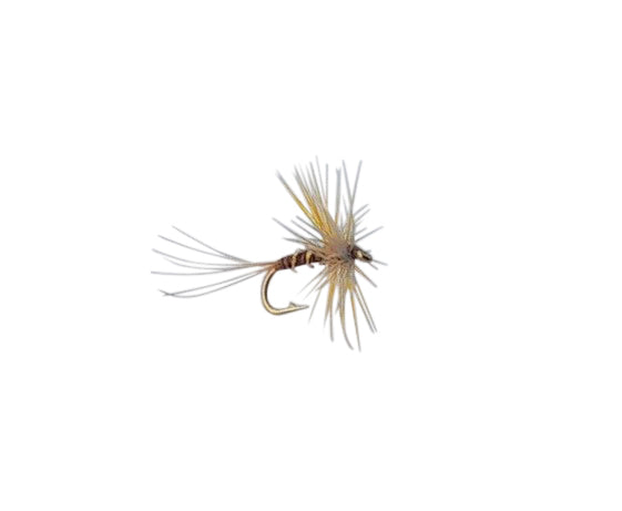 Payne Colliers Pheasant Tail