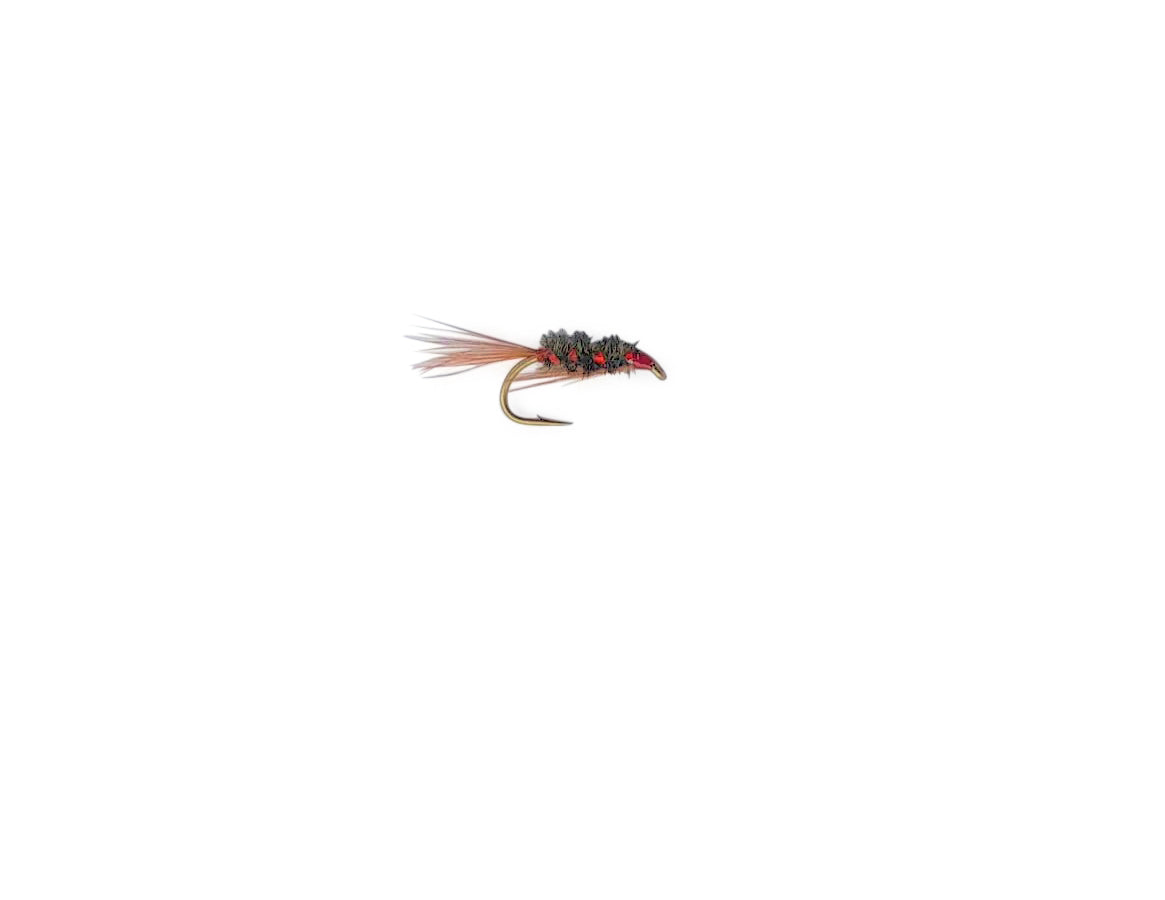 DIAWL BACH - HOLO RED