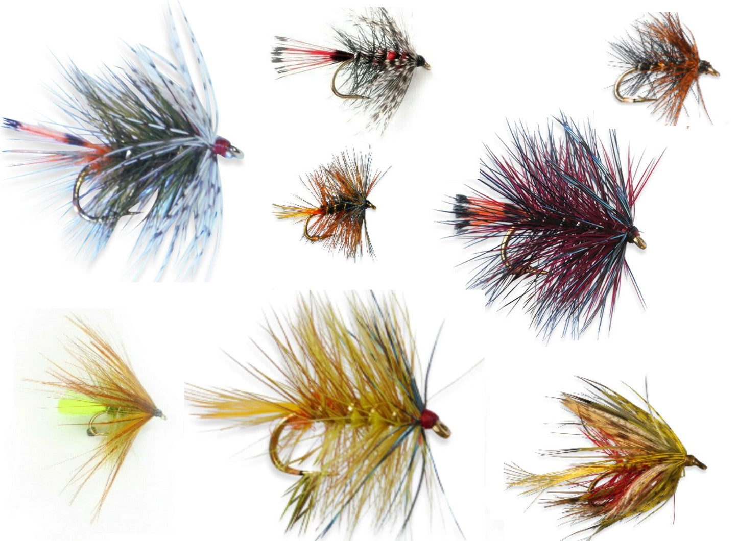 Browns Telephone Fly