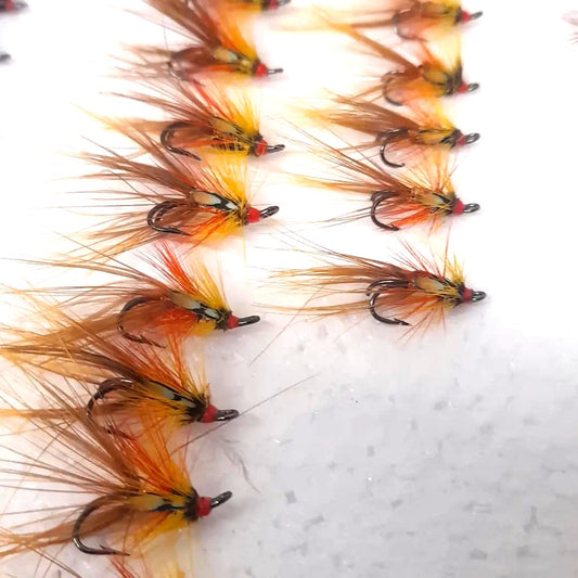 Finn Gold Shrimp Double