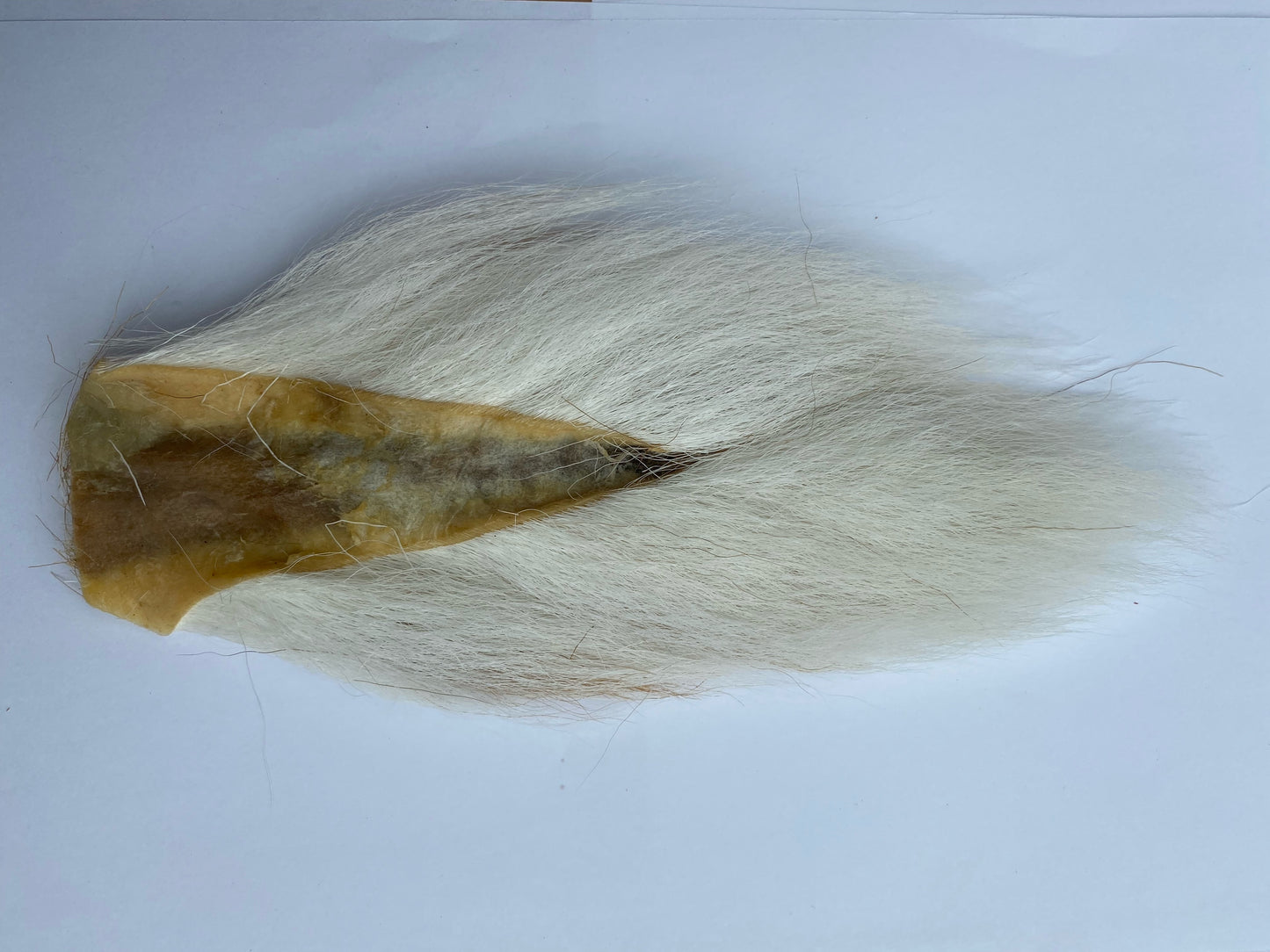 Wapsi Medium Bucktail - Natural White