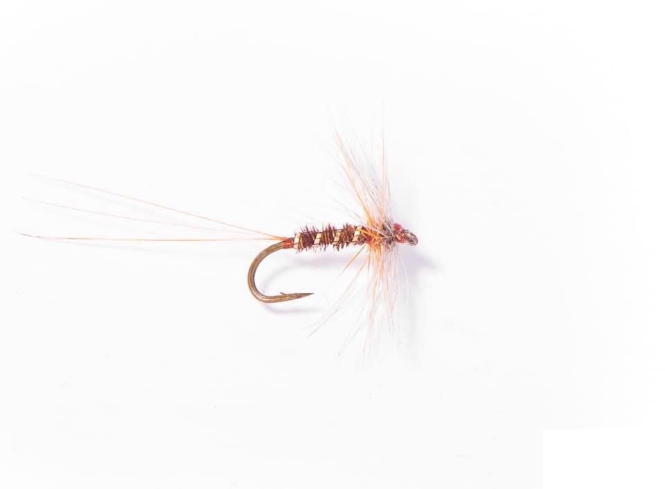 Payne Colliers Pheasant Tail