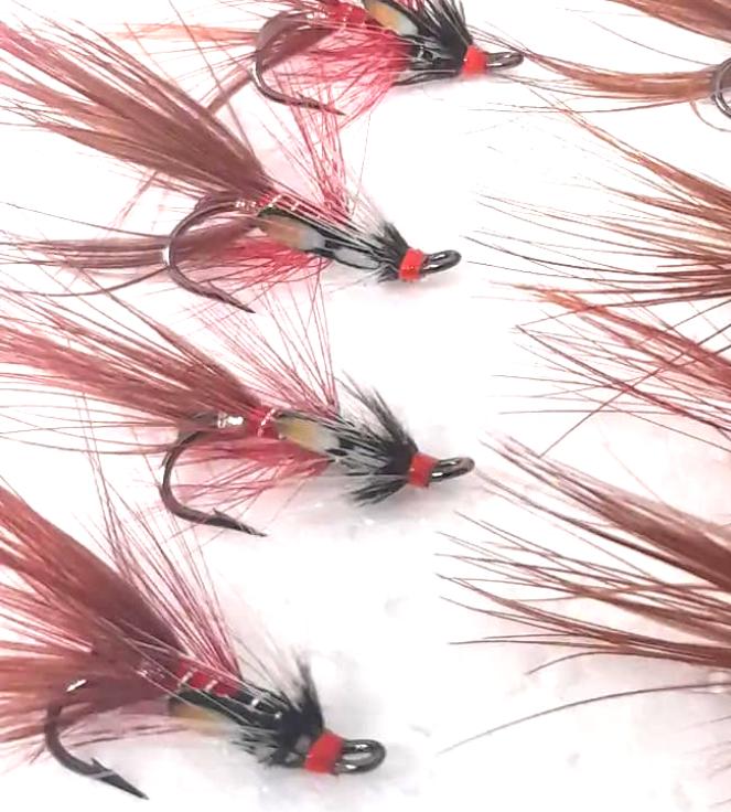 Red Shrimp