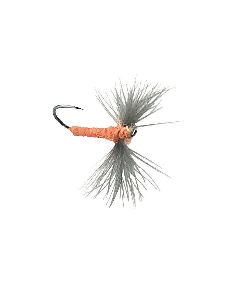 Dry (IMP)-Spinner Sherry