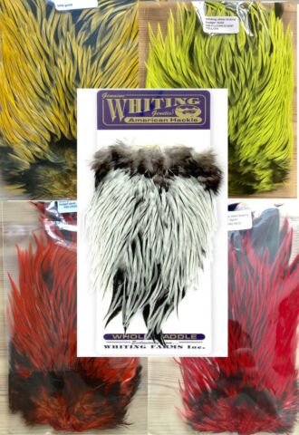 Whiting Brahama Silver Badger Saddles Dyed