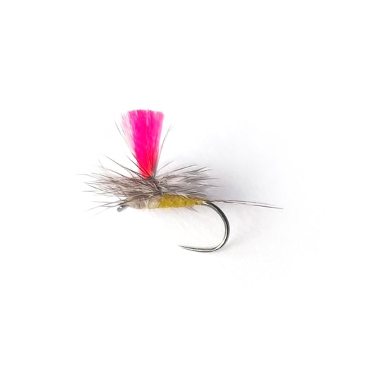 Peter Drivers Pink Post Olive Parachute