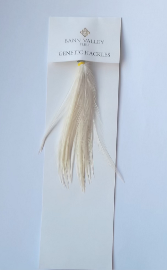 Metz Neck Hackle Average Sizes White/Cream