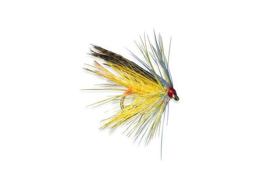 Browns Telephone Fly