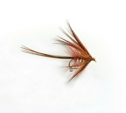 DABBLER-FIERY BROWN (B)