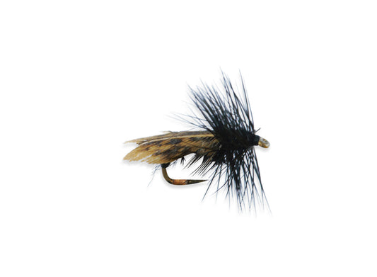 SEDGE-BLACK TAPE WING